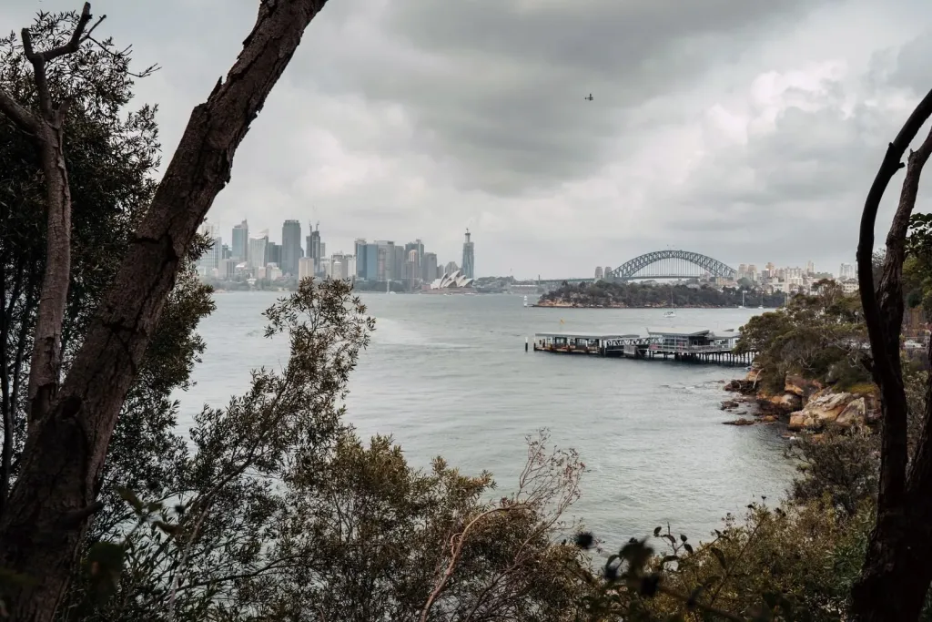 Пасмурно, но сухо: какой будет пятница в Бресте и области