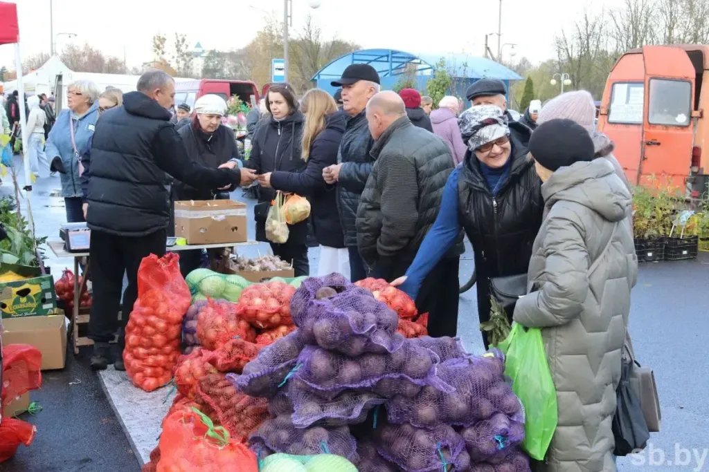 В Ляховичах на осенней ярмарке картофель продают по 60–80 копеек